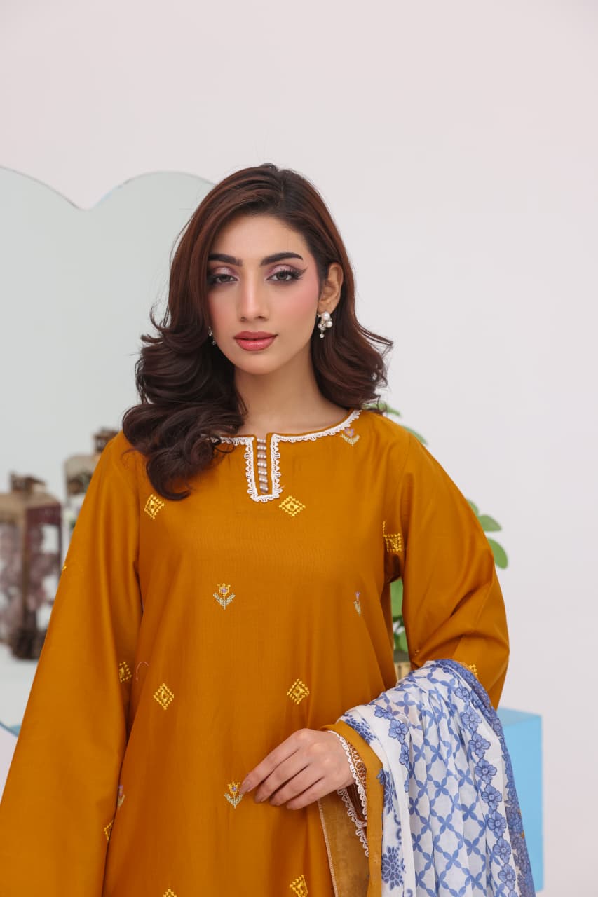 Cotton Embroidered 3pc Suit